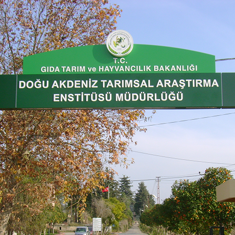  Doğu Akdeniz Tarımsal Araştırma Enstitüsü Müdürlüğü