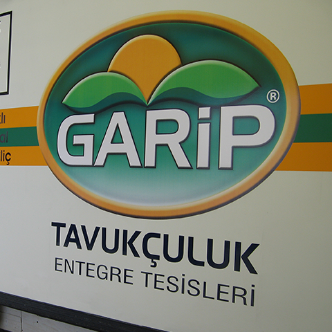 Garip Tavukçuluk